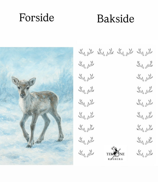 Kort med vinter reinkalv